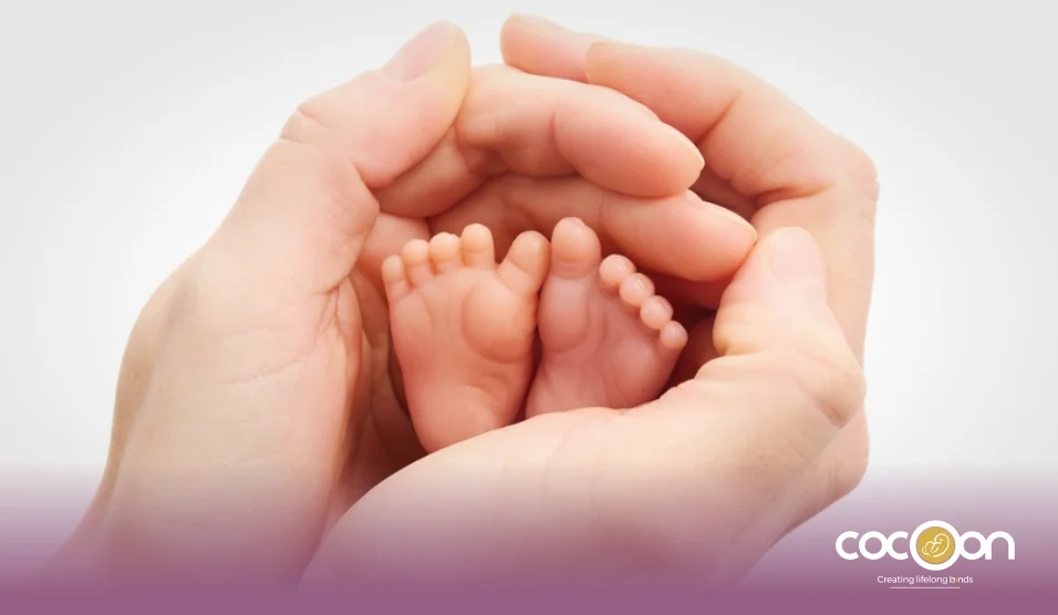 Expect the Unexpected at Cocoon