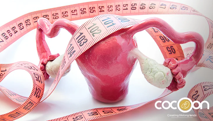 Ovarian Cysts: What Causes Them & How To Manage Symptoms