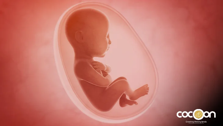 Track Your Baby’s Growth: Week-by-Week Guide to Height & Weight