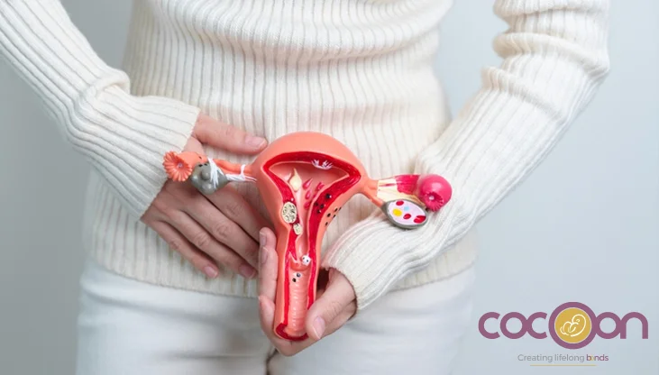 Fibroid Sizes That Could Be Dangerous: When To Seek Treatment